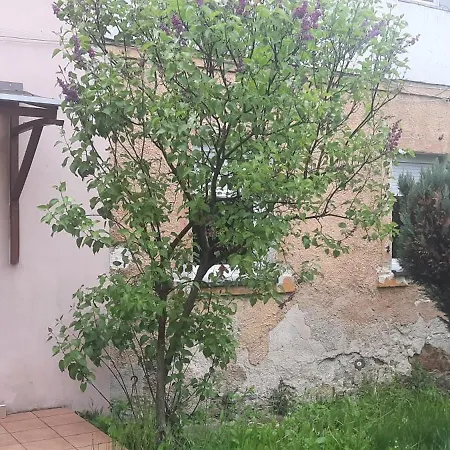Apartmán Na Sienkiewicza *